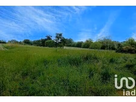 vente terrain à aureilhan (65800) : à vendre / 4623m² aureilhan