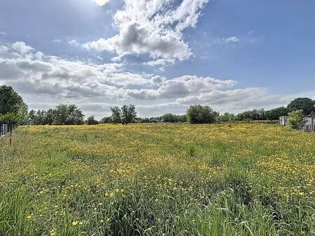 terrain à bâtir à vendre à rue des ruelles 37 chièvres (vbc71365)