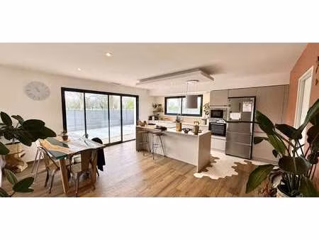 villa avec piscine et jardin saint-cyprien (66)