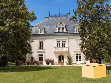 vente château 13 pièces