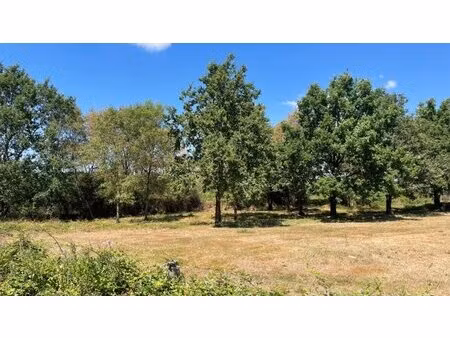 en vente terrain non constructible 422 862 m² – 1 981 500 € |saint-christophe-du-ligneron