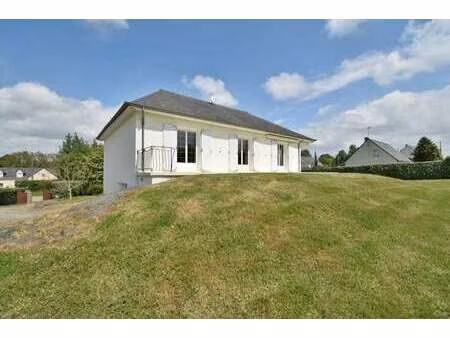 vente maison à segré-en-anjou-bleu (49500) : à vendre / 121m² segré-en-anjou-bleu