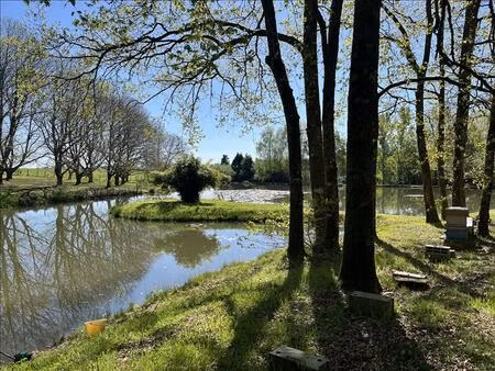 vente maison 1 pièce 35 m² saint-yrieix-la-perche (87500)