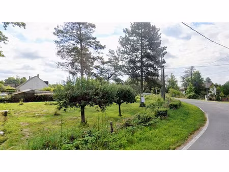 vente terrain 951 m² à mont-près-chambord (41250)  67 590 €