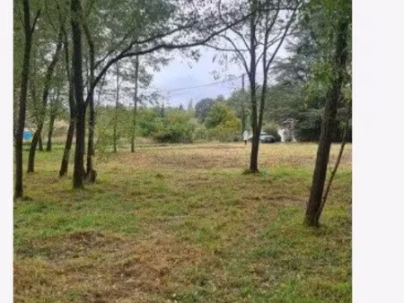 vente terrain 2167 m² à ouzouer-sur-loire (45570)  65 000 €