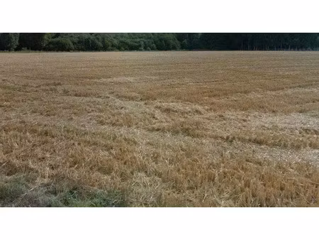 vente terrain 1300 m² à yermenonville (28130)  118 000 €