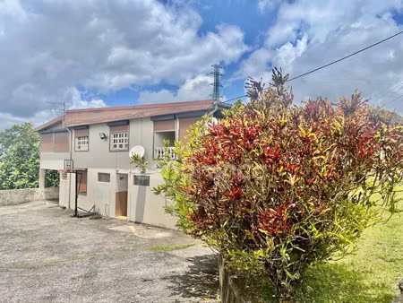 vente immeuble 12 pièces 394 m² à schoelcher (97233)  450 000 €