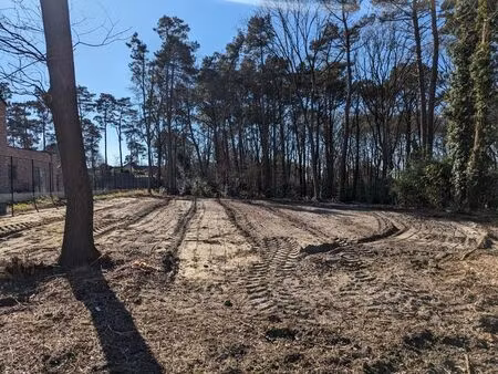 nieuwe bouwgronden in groene omgeving in houthalen-helcht...