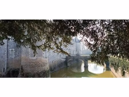 superbe appartement dans château xviième