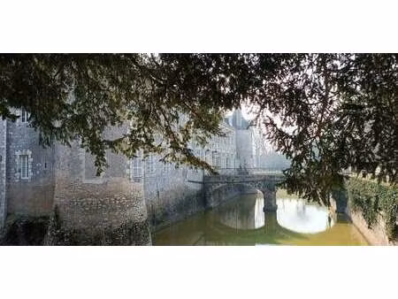 appartement avaray (41)