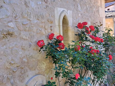 vente maison 4 pièces 103 m² izon (33450)