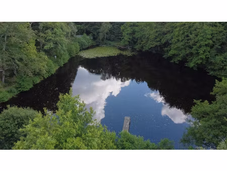 vente terrain 16613 m² à châteauponsac (87290)  55 000 €