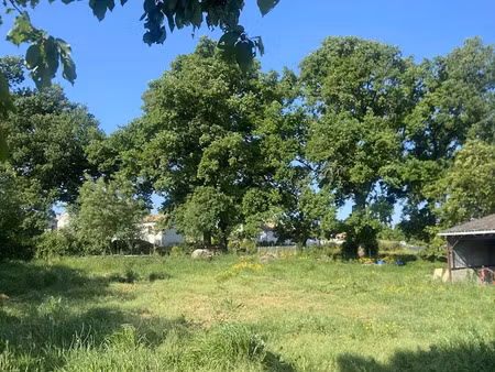 vente terrain 1000 m² à la romagne (49740)  130 000 €