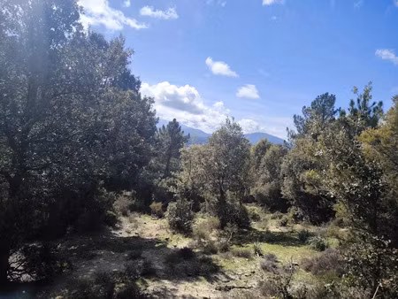 vente terrain 1200 m² à quenza (20122)  129 000 €