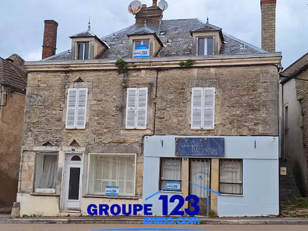 l'isle-sur-serein (89) - ensemble immobilier (maison + comme