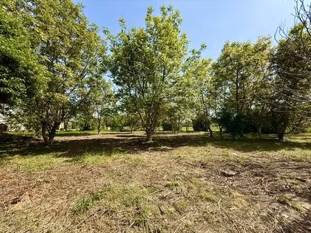 terrain de 1431 m2 - sélestat  france