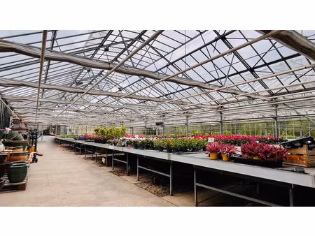 57530 - zone ua totalite terrain 44 ares/serres horticoles/habitat