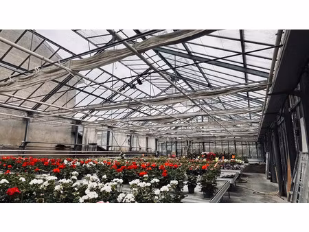 proche metz- terrain 44 ares zone ua/maison 140 m2/serres horticoles