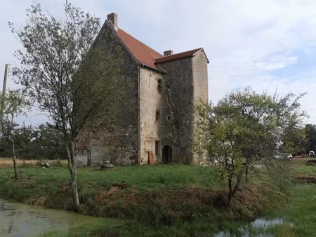 vente manoir 6 pièces 260 m² à bonneuil (36310)  169 600 €