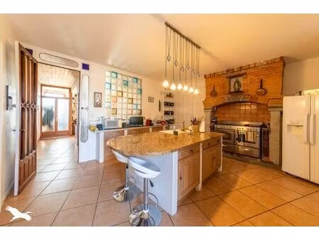 vente maison 8 pièces 240 m² lamagistère (82360)
