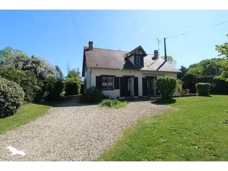 vente maison 5 pièces 130 m² souesmes (41300)