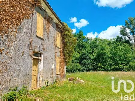 vente maison à l'isle-en-dodon (31230) : à vendre / 200m² l'isle-en-dodon
