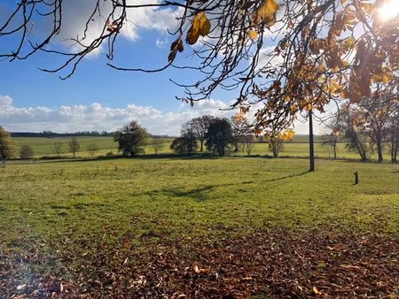 terrain viabilise libre constructeur