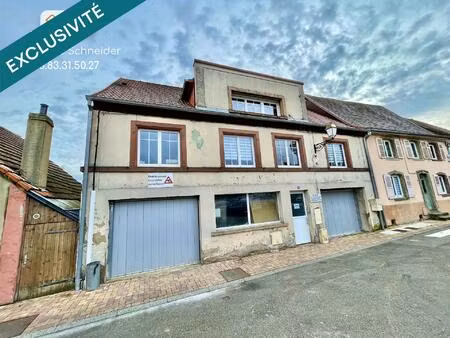 immeuble : appartement + bureaux + hall stockage