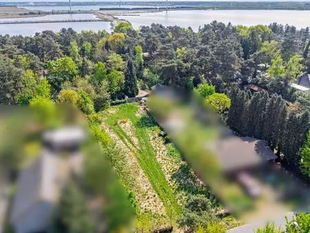 terrain à vendre à lommel € 214.000 (l7rjy) - verlinden vastgoedgroep bv | zimmo