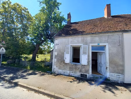 vente maison 2 pièces 40 m² sancergues (18140)