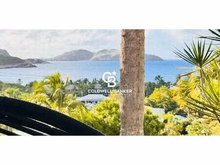 appartement avec terrasse saint-barthélemy (971)