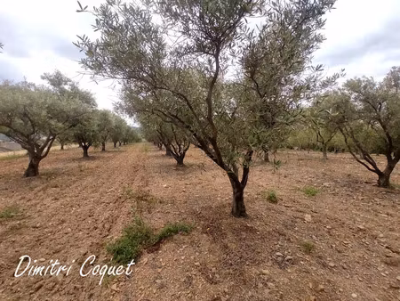 vente terrain 7000 m² à gabian (34320)  29 000 €