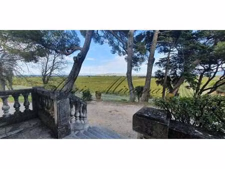 vignoble avignon (84)