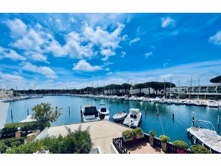 marina port camargue