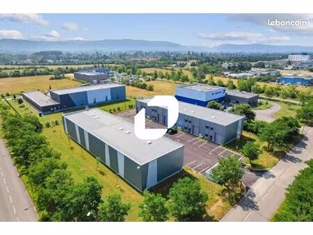 local d'activité 1 276 m²