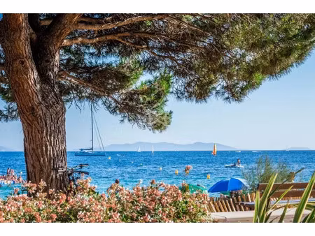 a vendre murs libres – golfe de saint-tropez