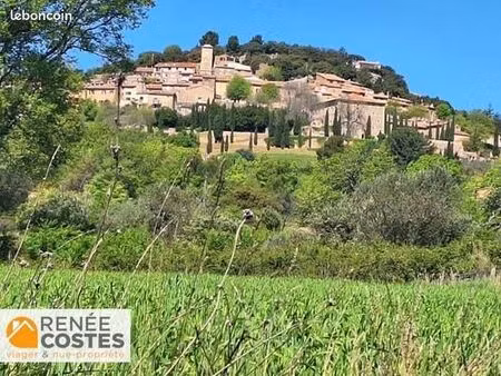 maison en viager 6 pièces 170 m²