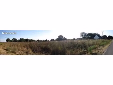 grande parcelle de terrain constructible