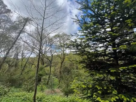 terrain 38444 m² châteauneuf-du-faou