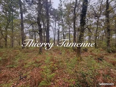 forêt 48 400 m² barbaste