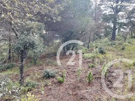 terrain 10 300 m² llauro