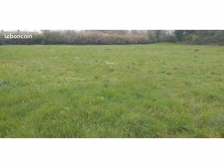 terrain 5 540 m² pleumartin