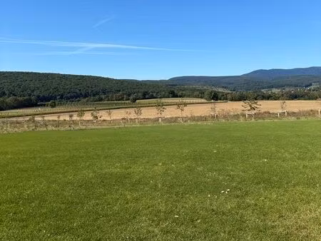 wasselonne terrain à bâtir