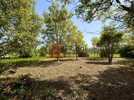 terrain 800 m² selestat