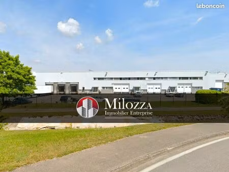 local 1154 m² saint quentin fallavier