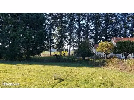 terrain constructible