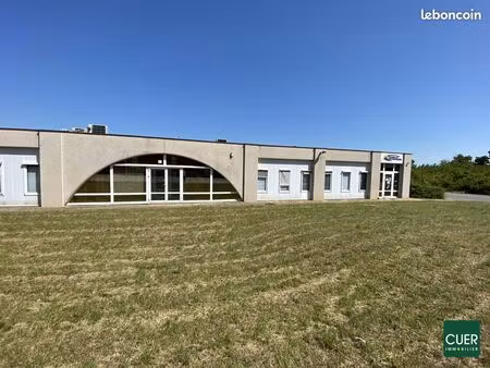 local 248 m² portes-les-valence