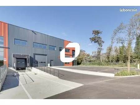 local d'activité 1 504 m²