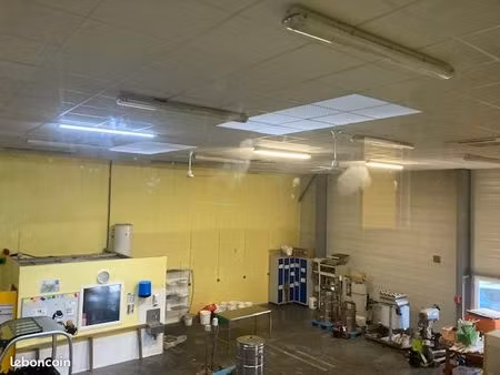 local d'activité 730 m²