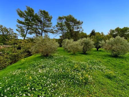 terrain à vendre greasque 834m2 320 000€